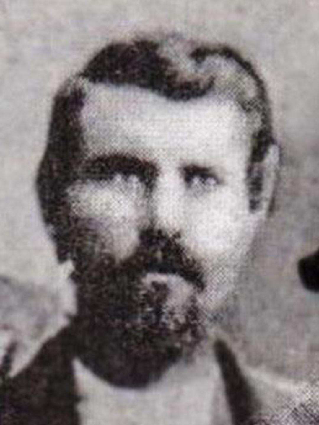 William George Hogg (1855 - 1895) Profile